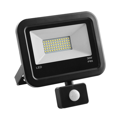 IP66 30W 6500K Waterproof LED Flood Lights WithHuman Body Sensor
